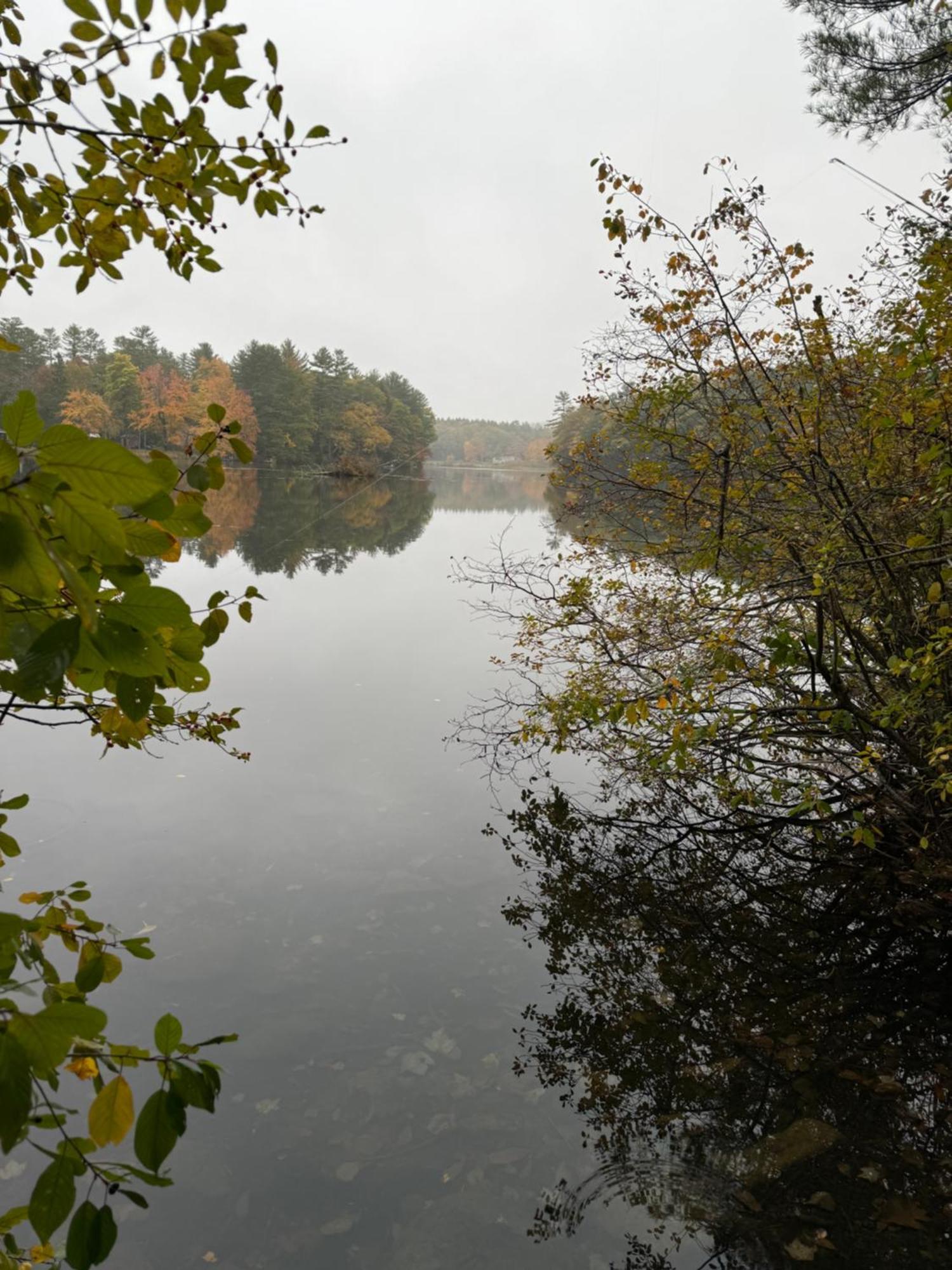 Hideaway Inn Maine Camden Buitenkant foto